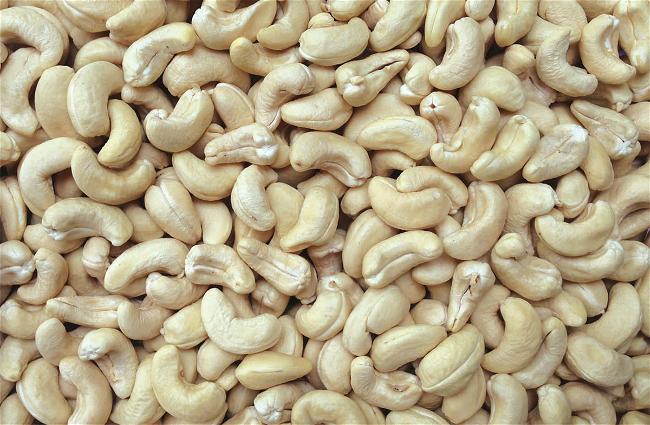 myan-cashew-exporter-ww-240-white-wholes
