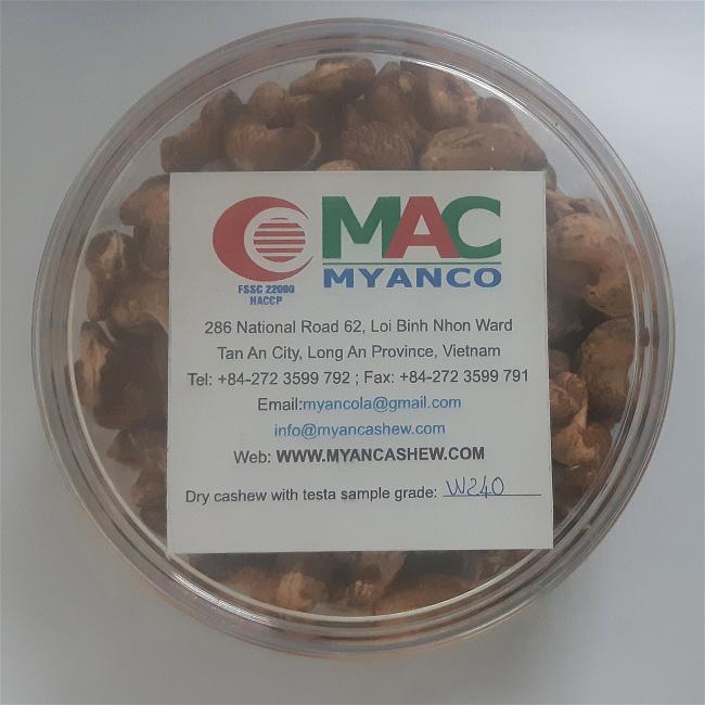 myan-cashew-exporter-w240